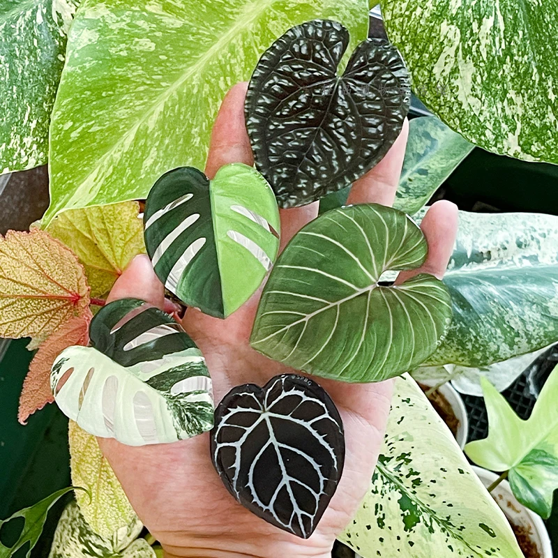 Glossy Simulation Leaf Phone H - огляд і ціна Phone Accessories Vending Machine