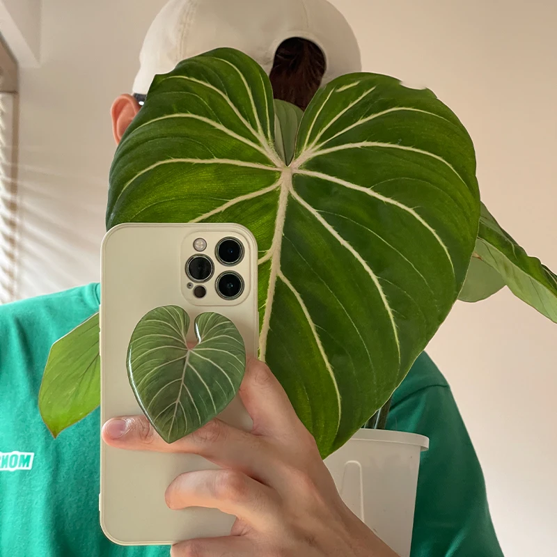 Glossy Simulation Leaf Phone H - огляд і ціна Phone Accessories Vending Machine